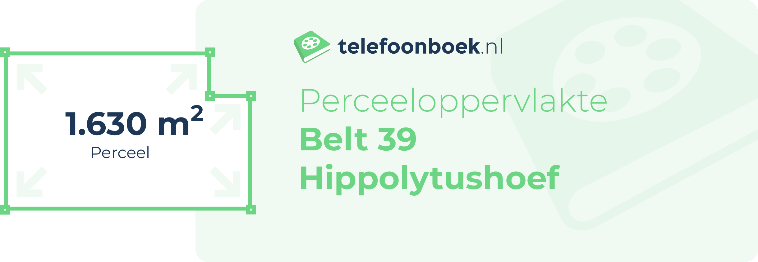 Perceeloppervlakte Belt 39 Hippolytushoef
