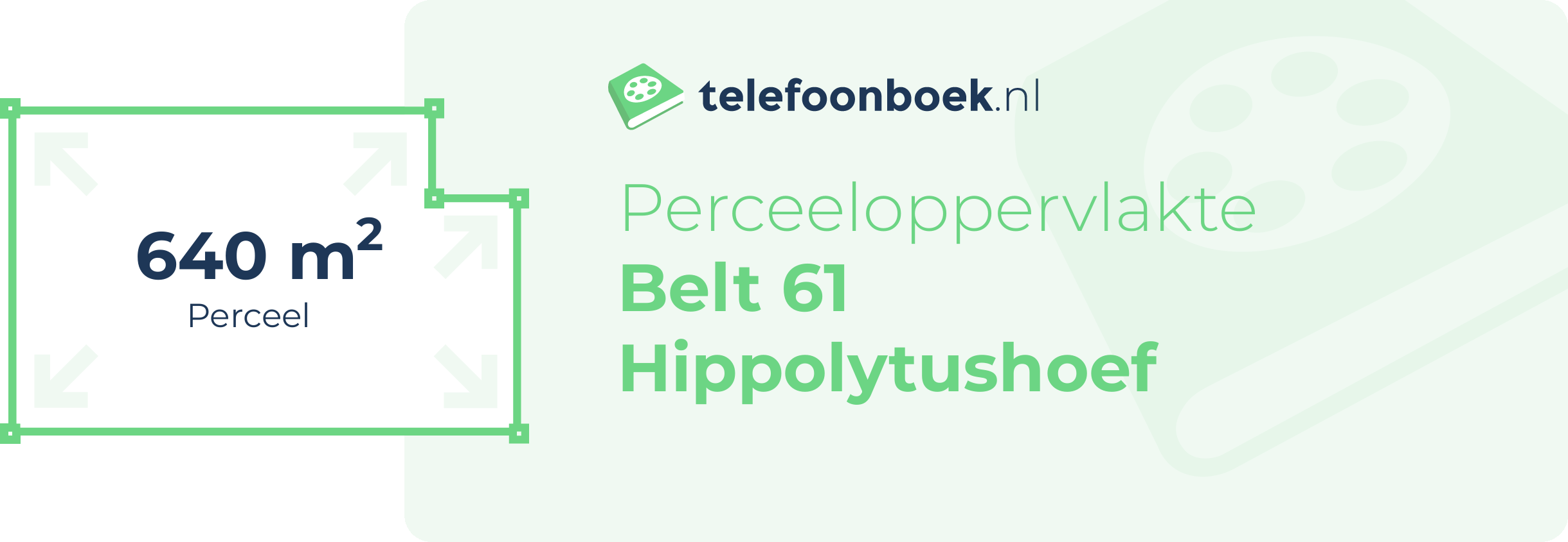 Perceeloppervlakte Belt 61 Hippolytushoef
