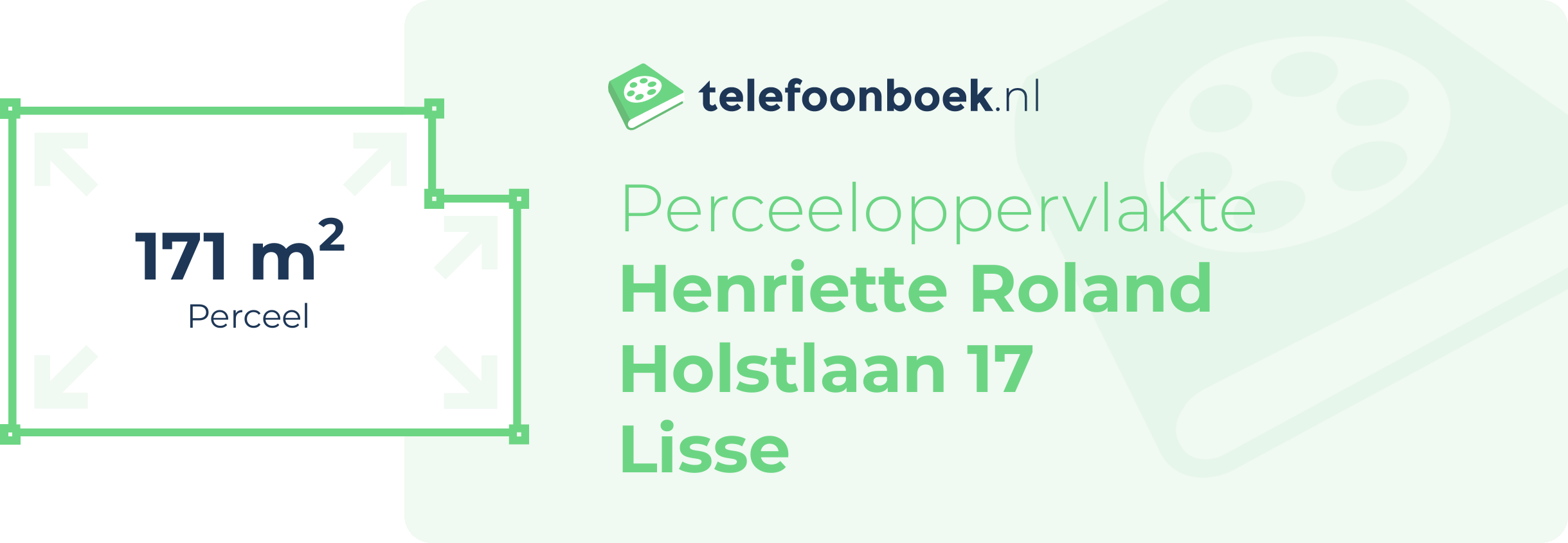 Perceeloppervlakte Henriette Roland Holstlaan 17 Lisse