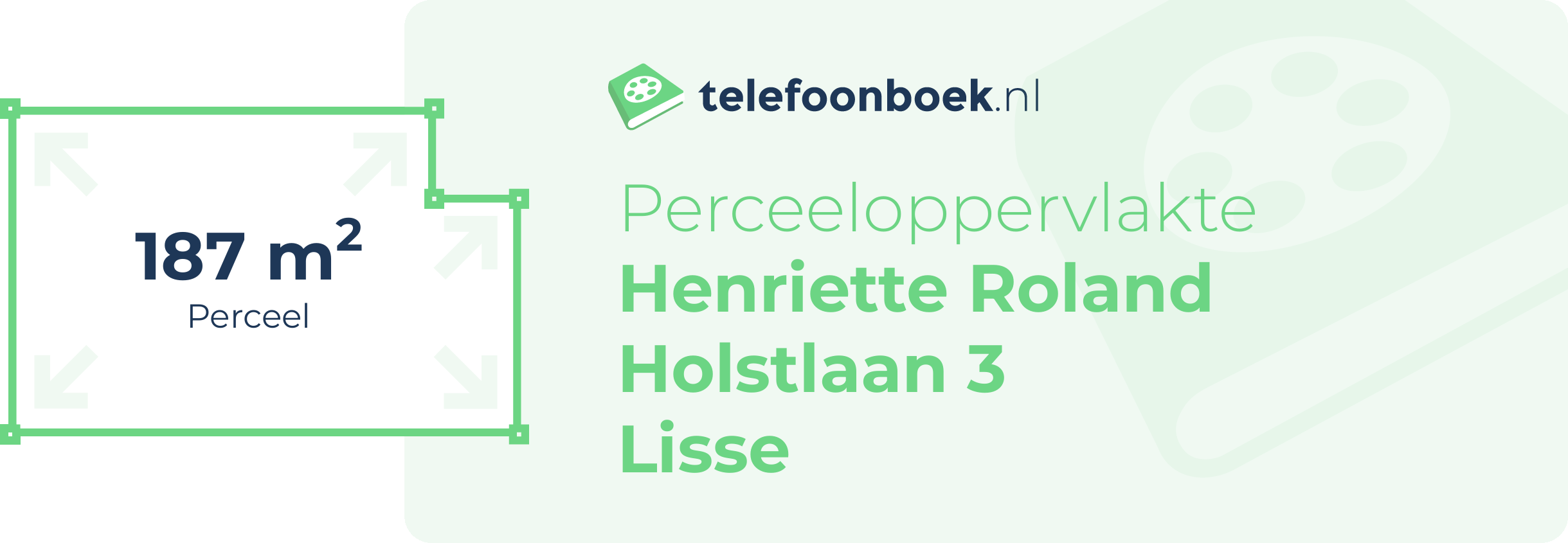 Perceeloppervlakte Henriette Roland Holstlaan 3 Lisse
