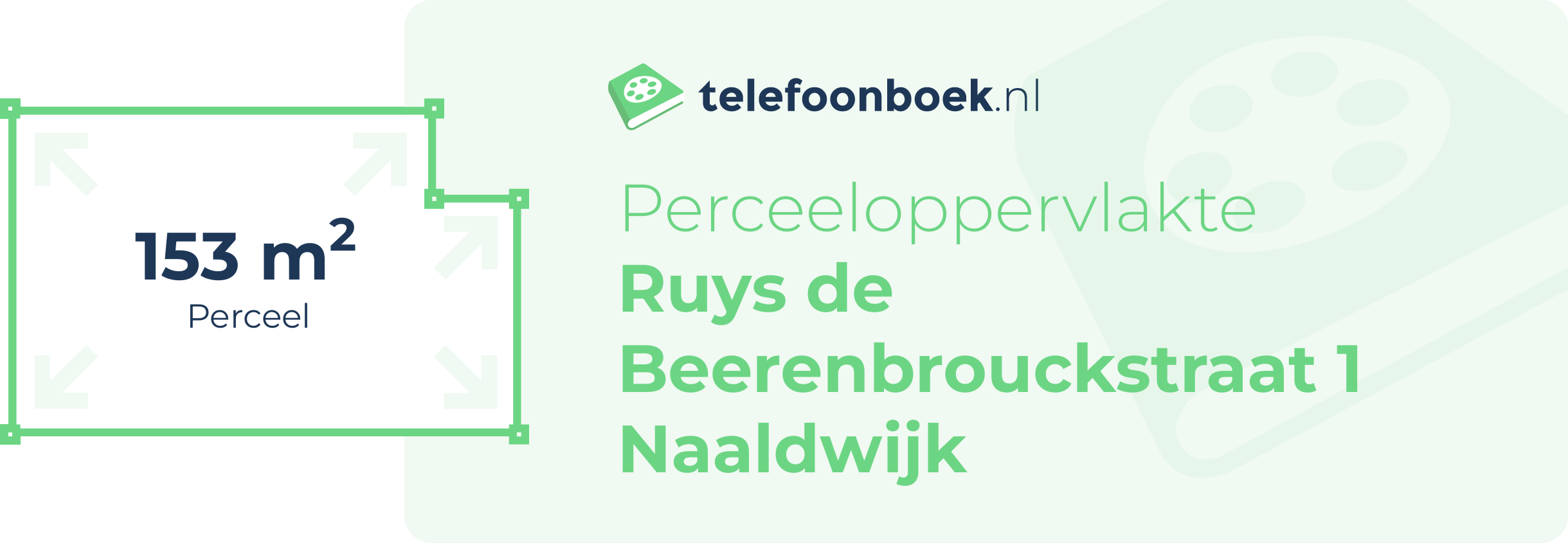 Perceeloppervlakte Ruys De Beerenbrouckstraat 1 Naaldwijk