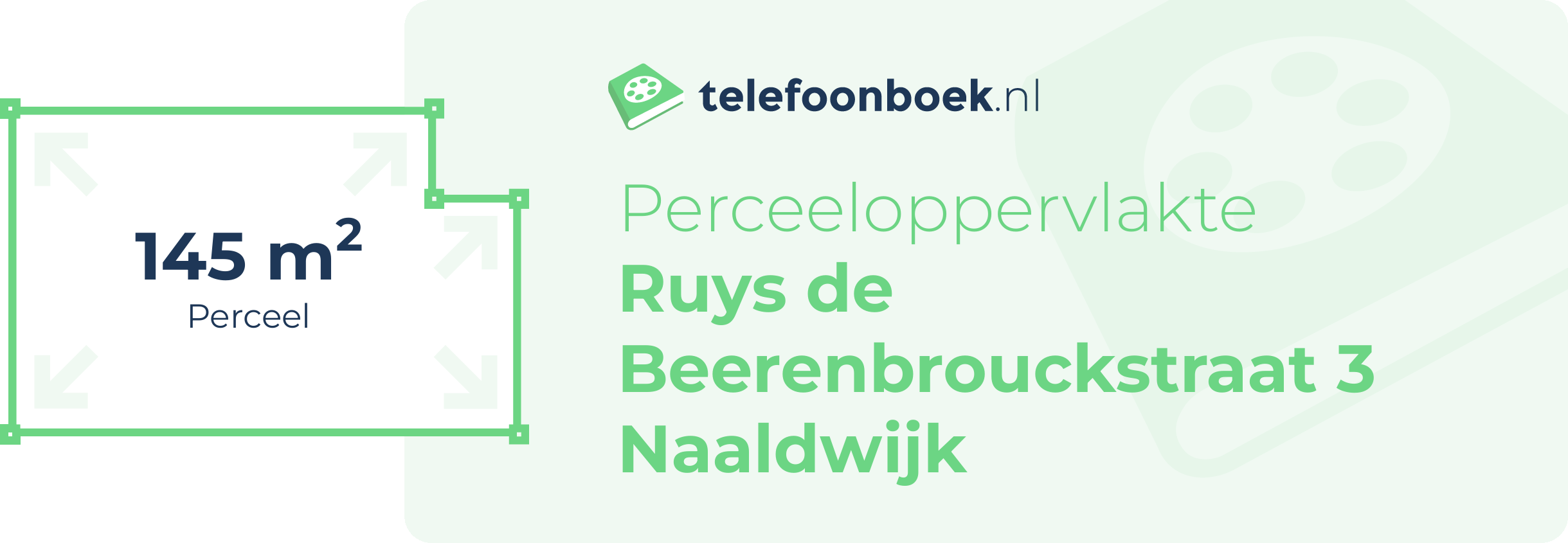 Perceeloppervlakte Ruys De Beerenbrouckstraat 3 Naaldwijk