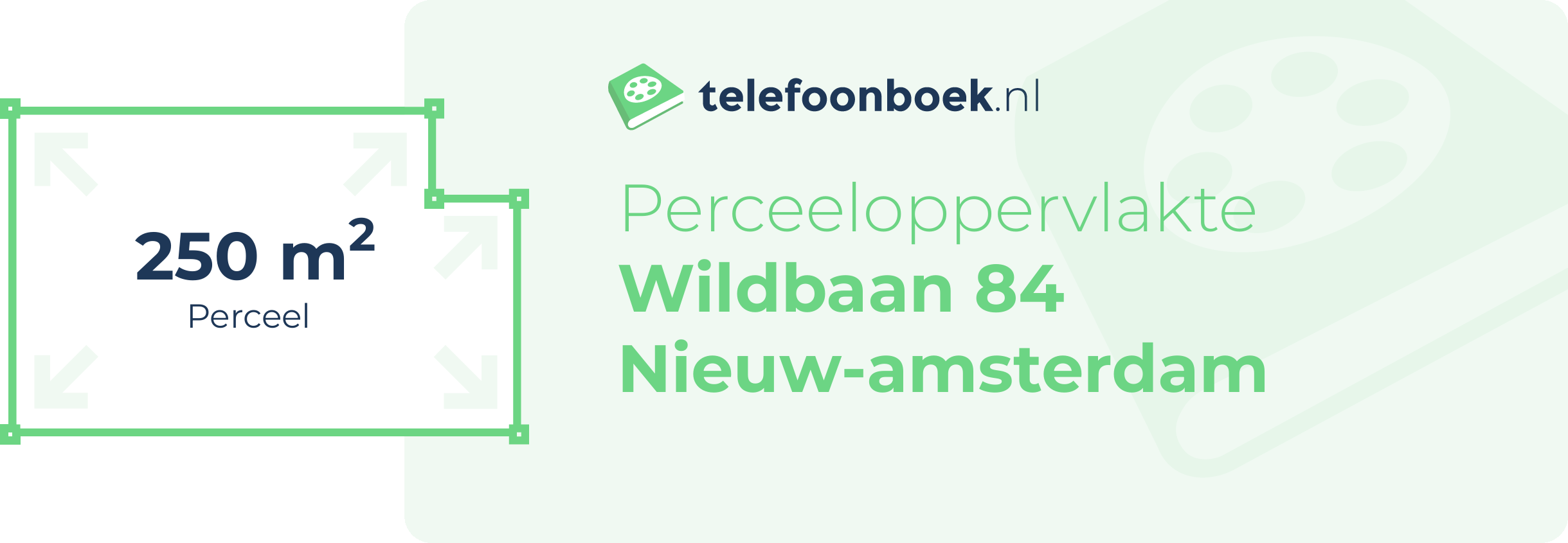 Perceeloppervlakte Wildbaan 84 Nieuw-Amsterdam