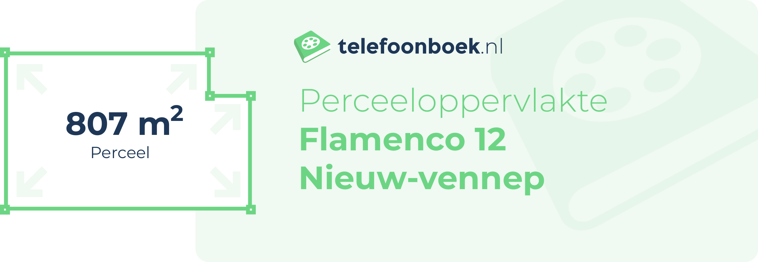 Perceeloppervlakte Flamenco 12 Nieuw-Vennep