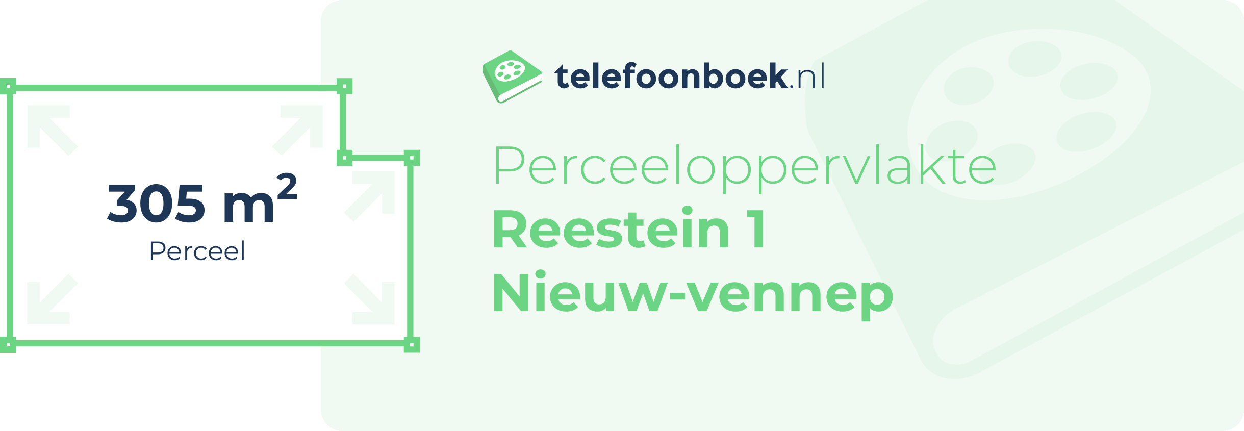 Perceeloppervlakte Reestein 1 Nieuw-Vennep