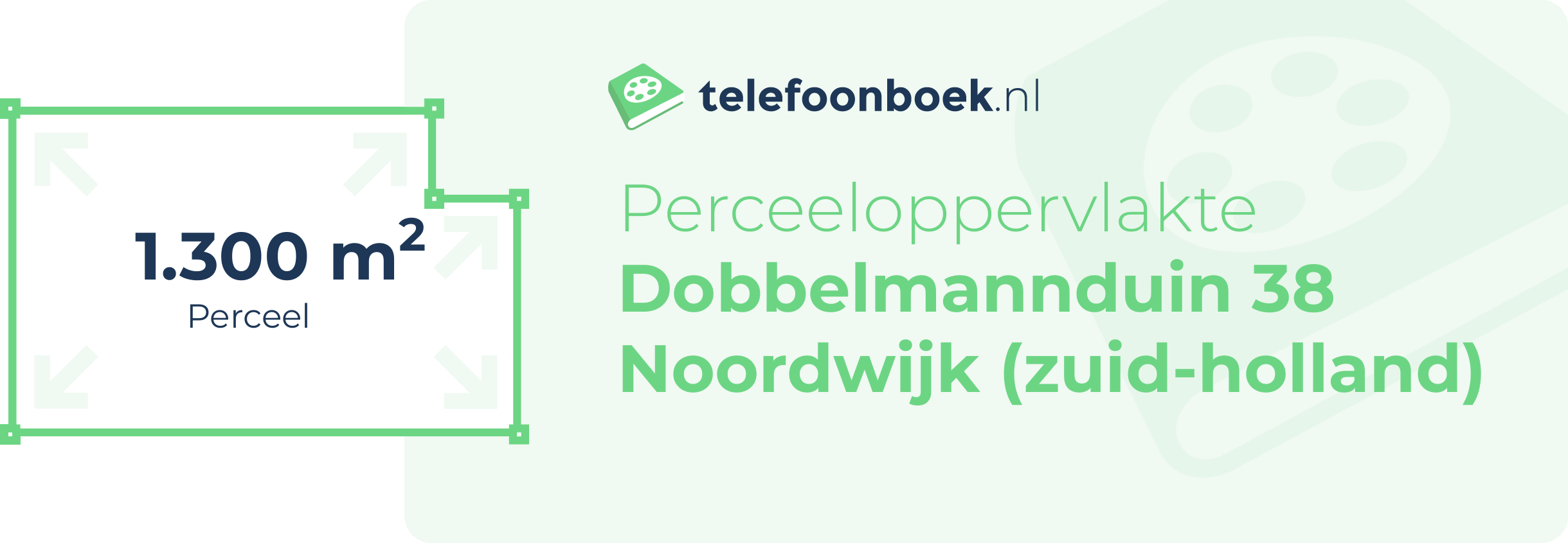 Perceeloppervlakte Dobbelmannduin 38 Noordwijk (Zuid-Holland)