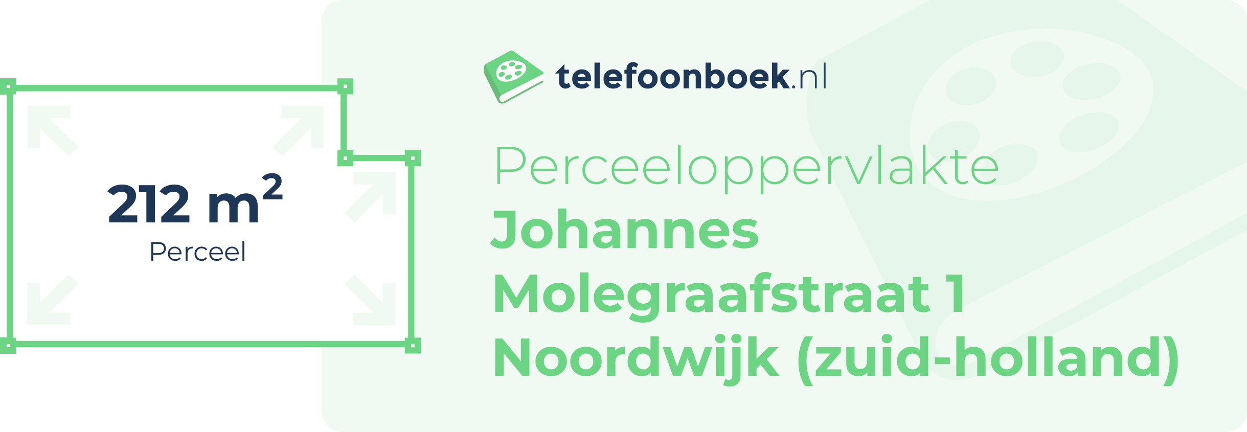 Perceeloppervlakte Johannes Molegraafstraat 1 Noordwijk (Zuid-Holland)