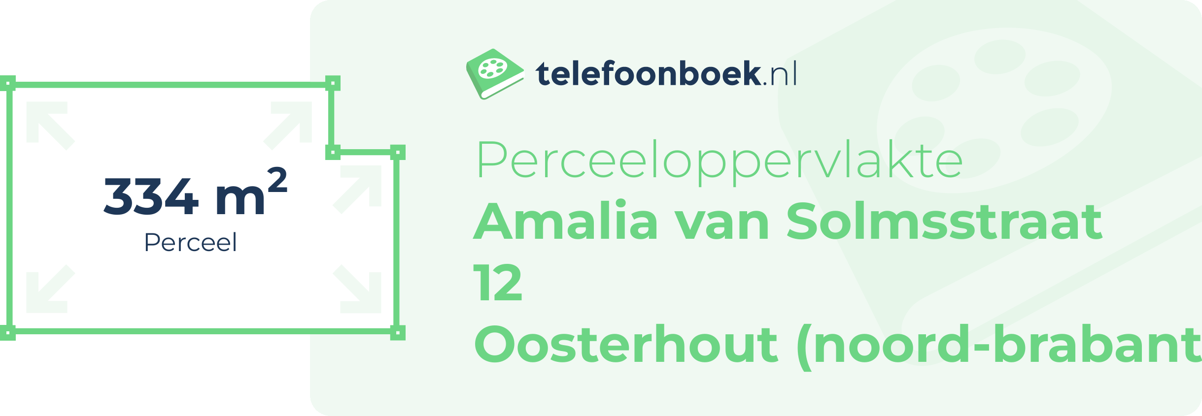 Perceeloppervlakte Amalia Van Solmsstraat 12 Oosterhout (Noord-Brabant)