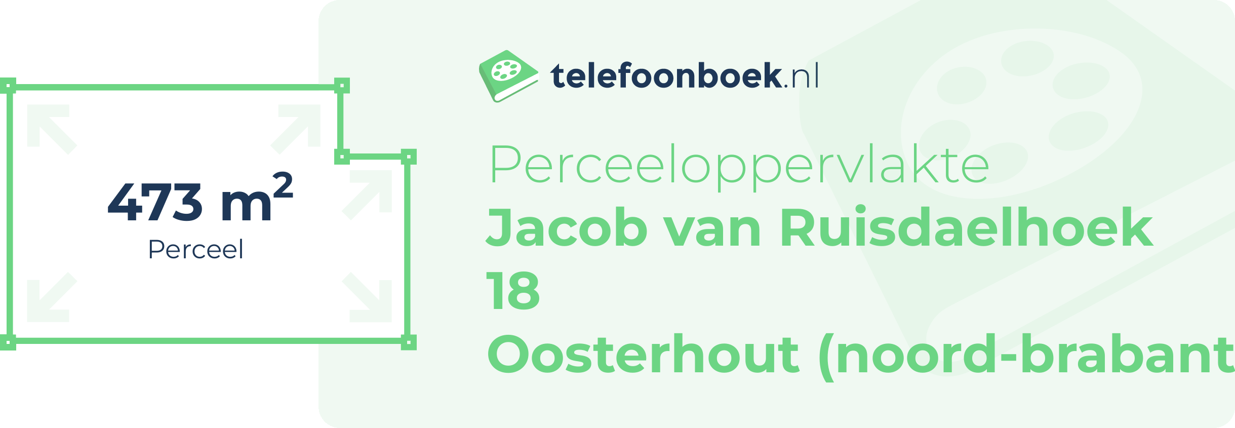 Perceeloppervlakte Jacob Van Ruisdaelhoek 18 Oosterhout (Noord-Brabant)
