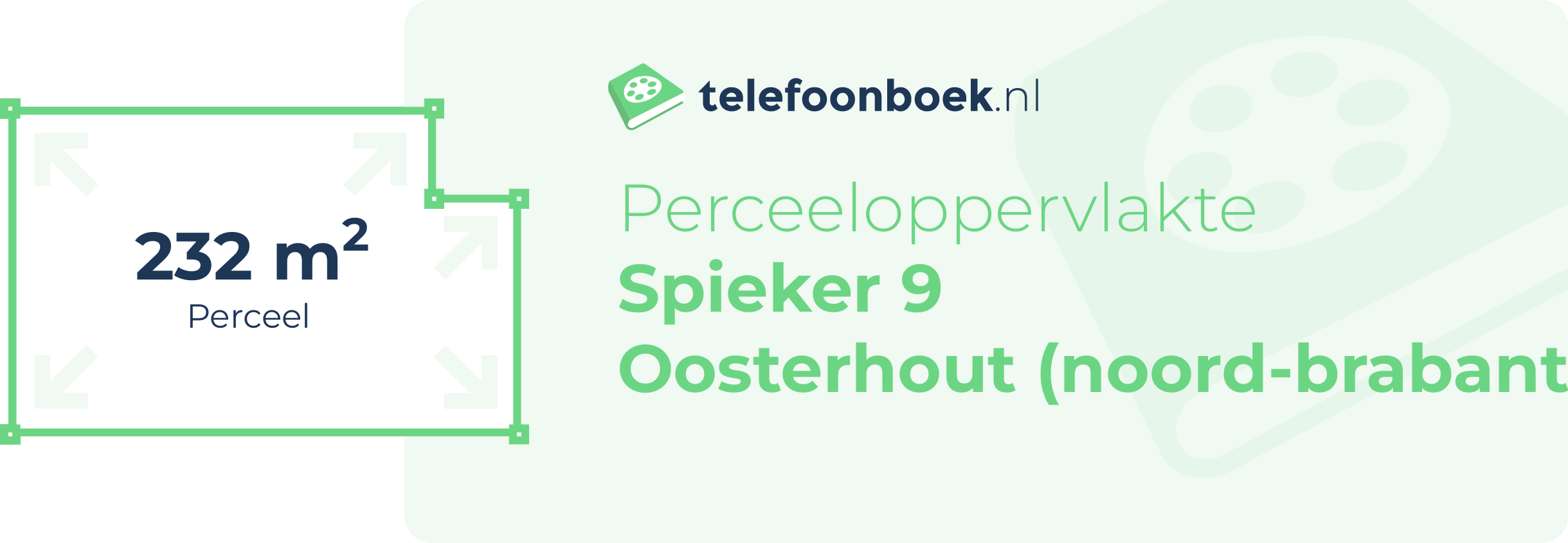Perceeloppervlakte Spieker 9 Oosterhout (Noord-Brabant)