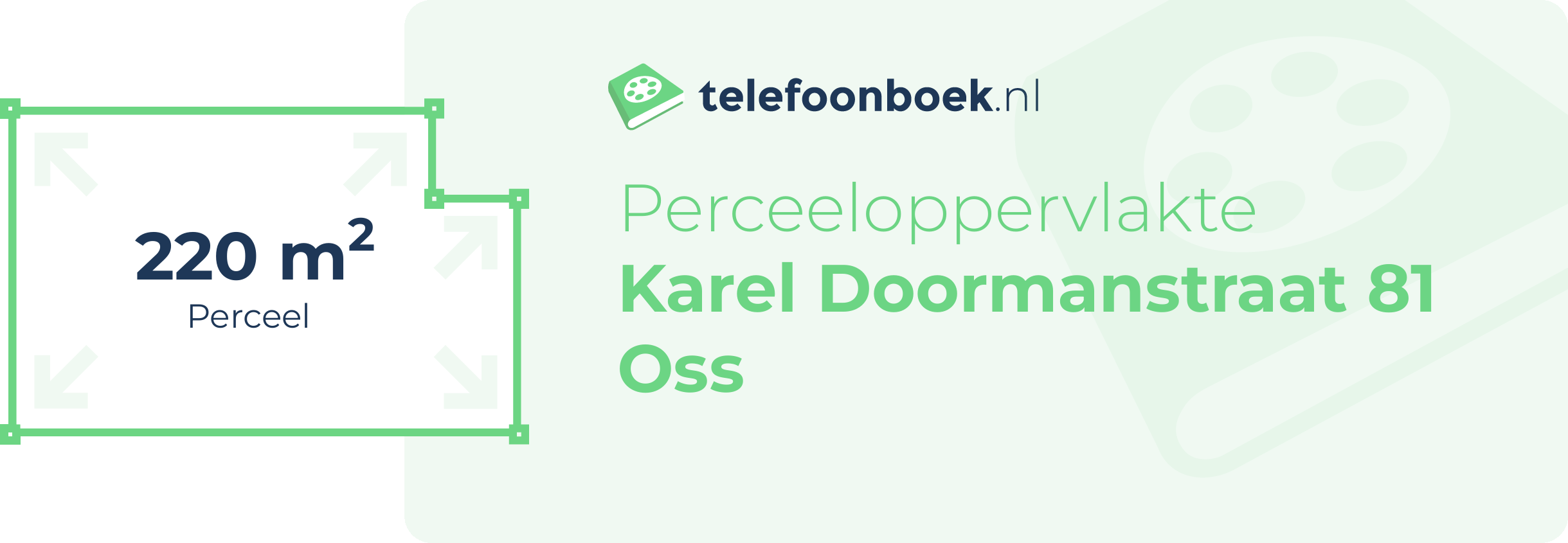 Perceeloppervlakte Karel Doormanstraat 81 Oss