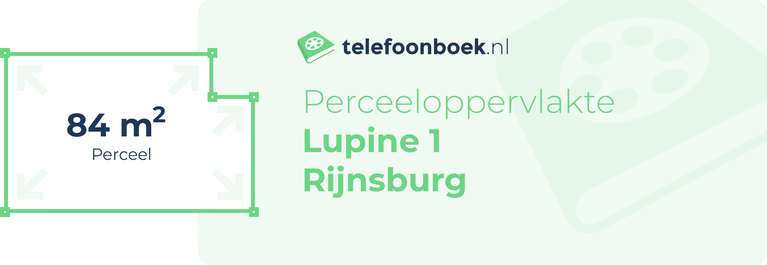 Perceeloppervlakte Lupine 1 Rijnsburg