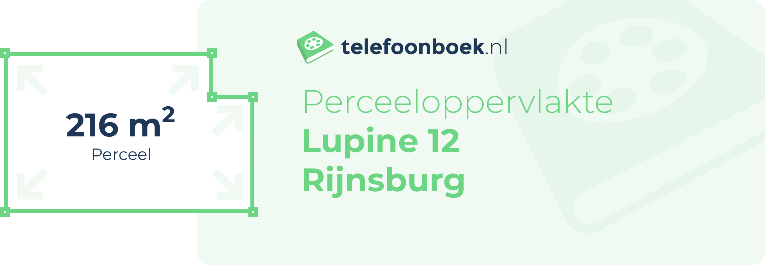 Perceeloppervlakte Lupine 12 Rijnsburg