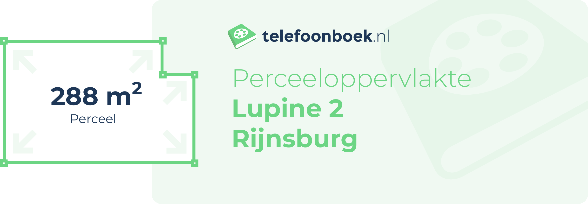 Perceeloppervlakte Lupine 2 Rijnsburg