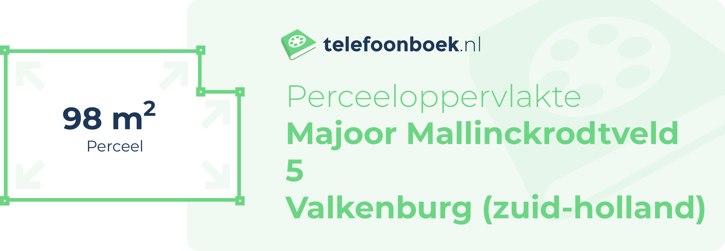 Perceeloppervlakte Majoor Mallinckrodtveld 5 Valkenburg (Zuid-Holland)