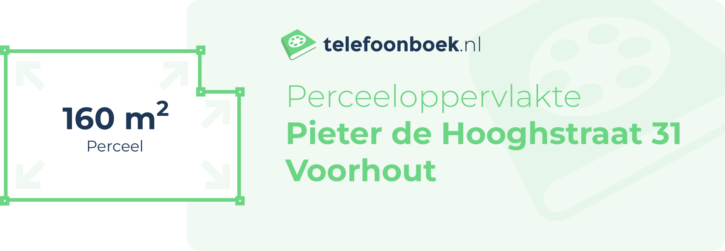 Perceeloppervlakte Pieter De Hooghstraat 31 Voorhout