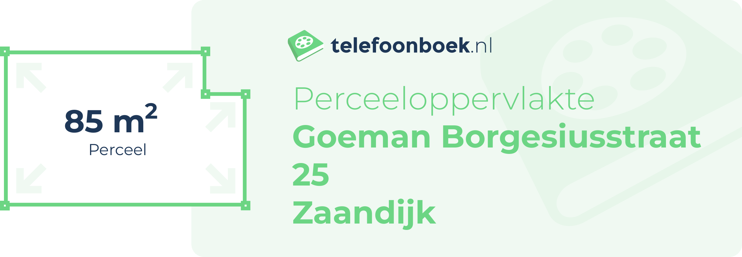 Perceeloppervlakte Goeman Borgesiusstraat 25 Zaandijk