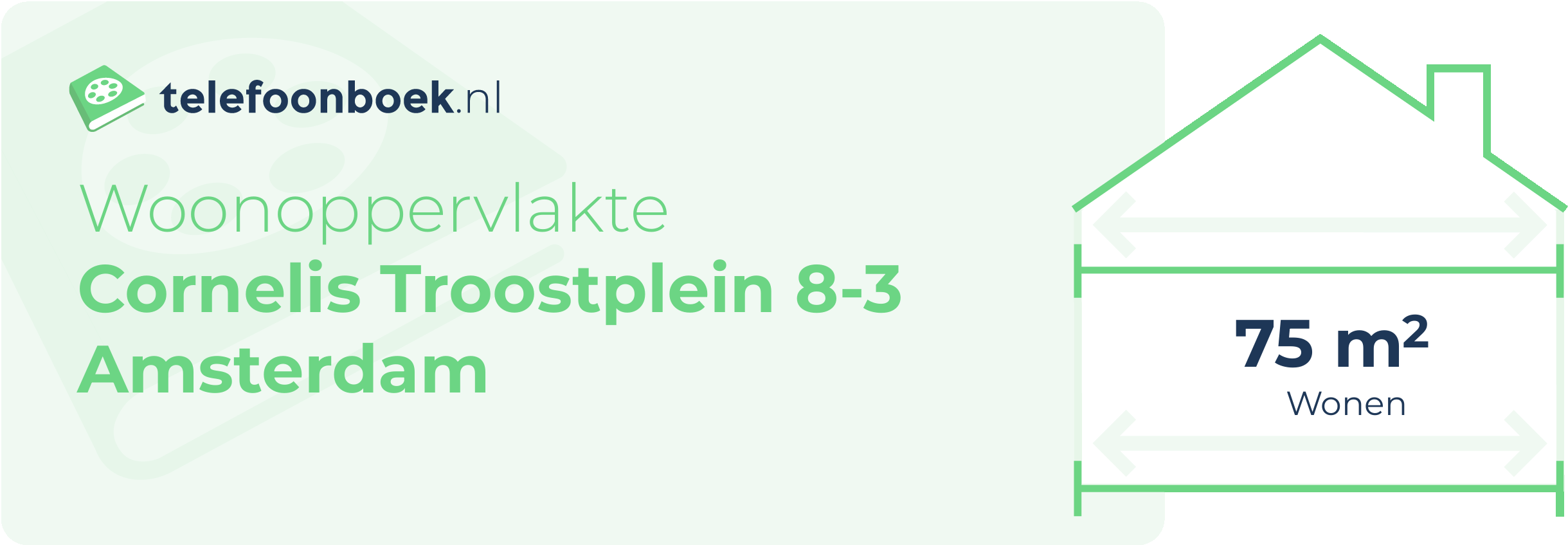 Woonoppervlakte Cornelis Troostplein 8-3 Amsterdam