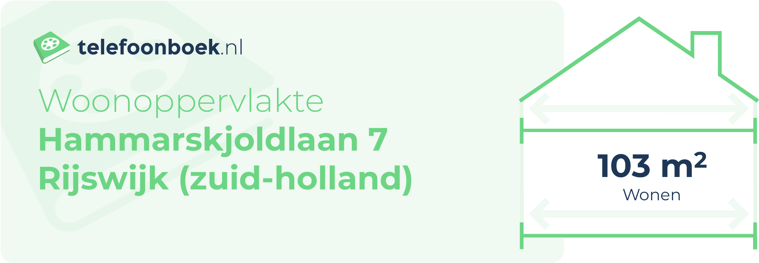 Woonoppervlakte Hammarskjoldlaan 7 Rijswijk (Zuid-Holland)